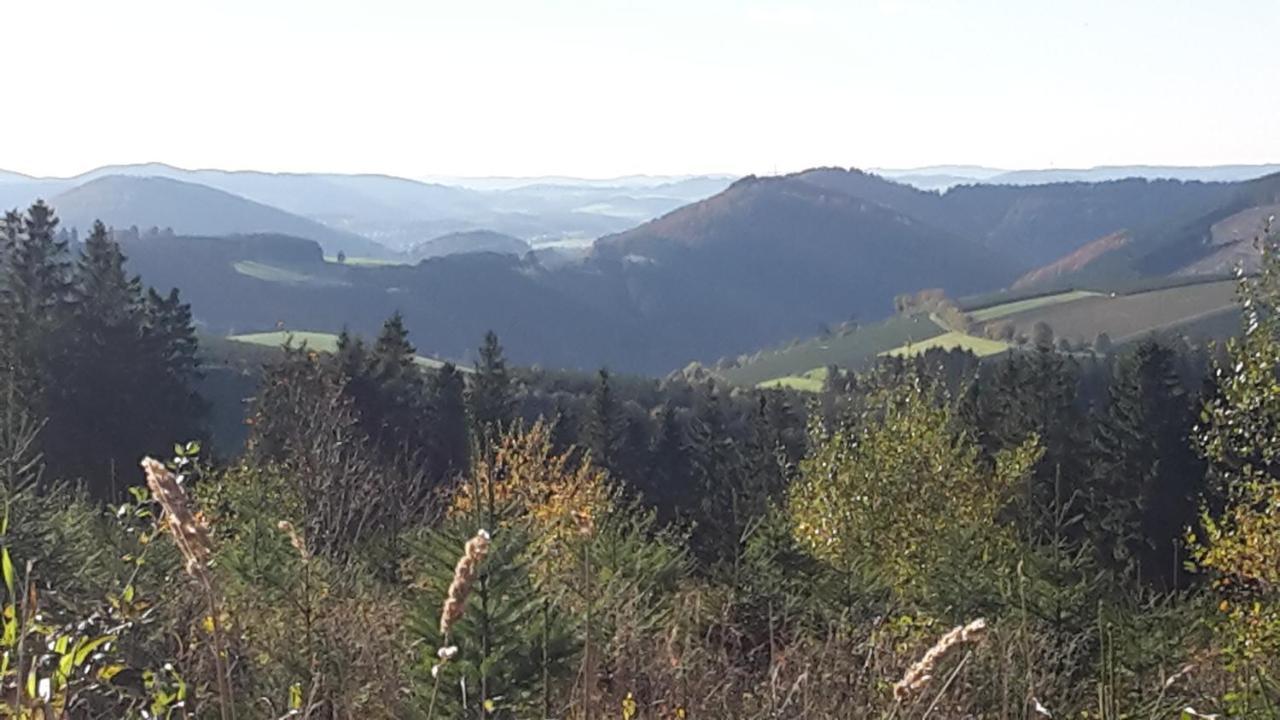 Ferienwohnung Mia Winterberg Exteriör bild