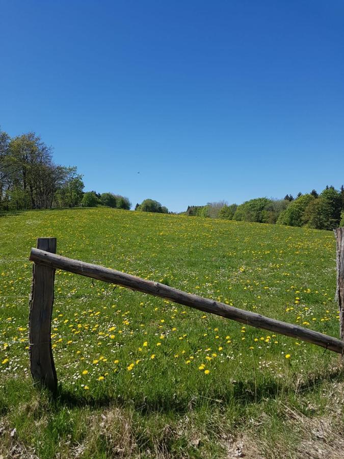 Ferienwohnung Mia Winterberg Exteriör bild
