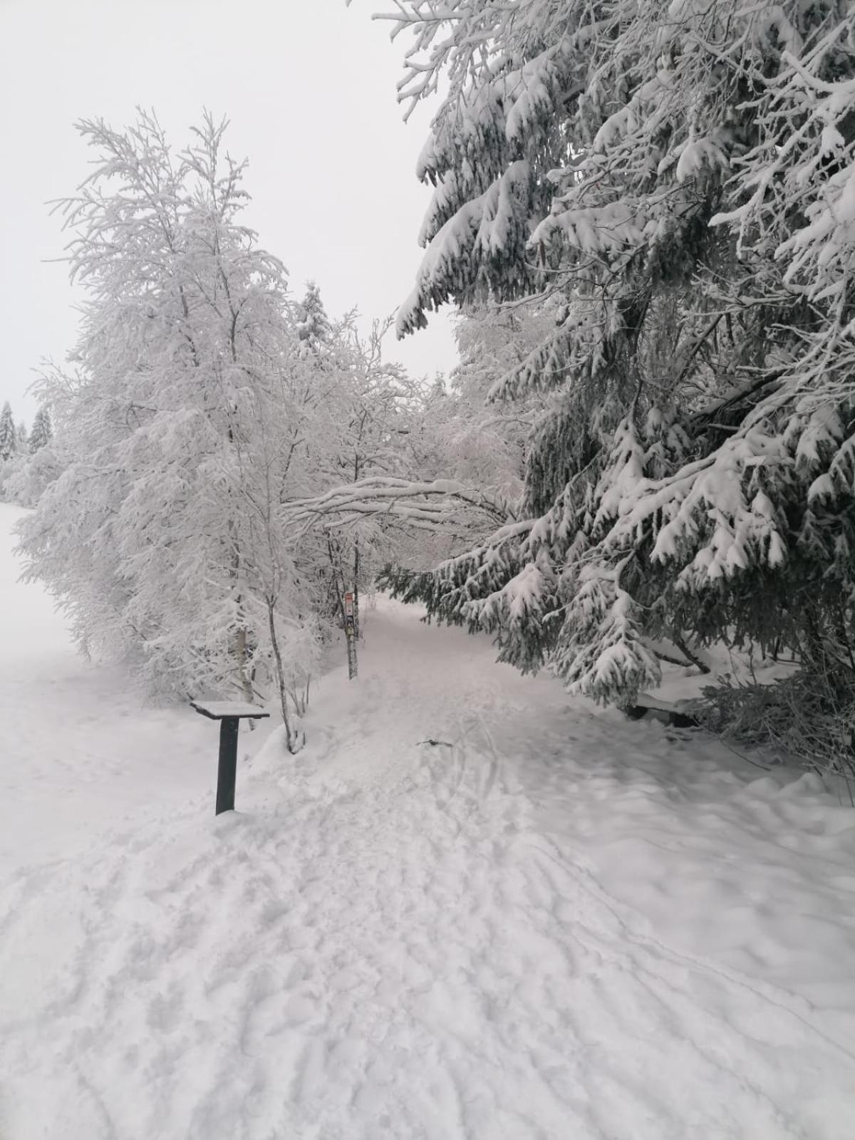Ferienwohnung Mia Winterberg Rum bild